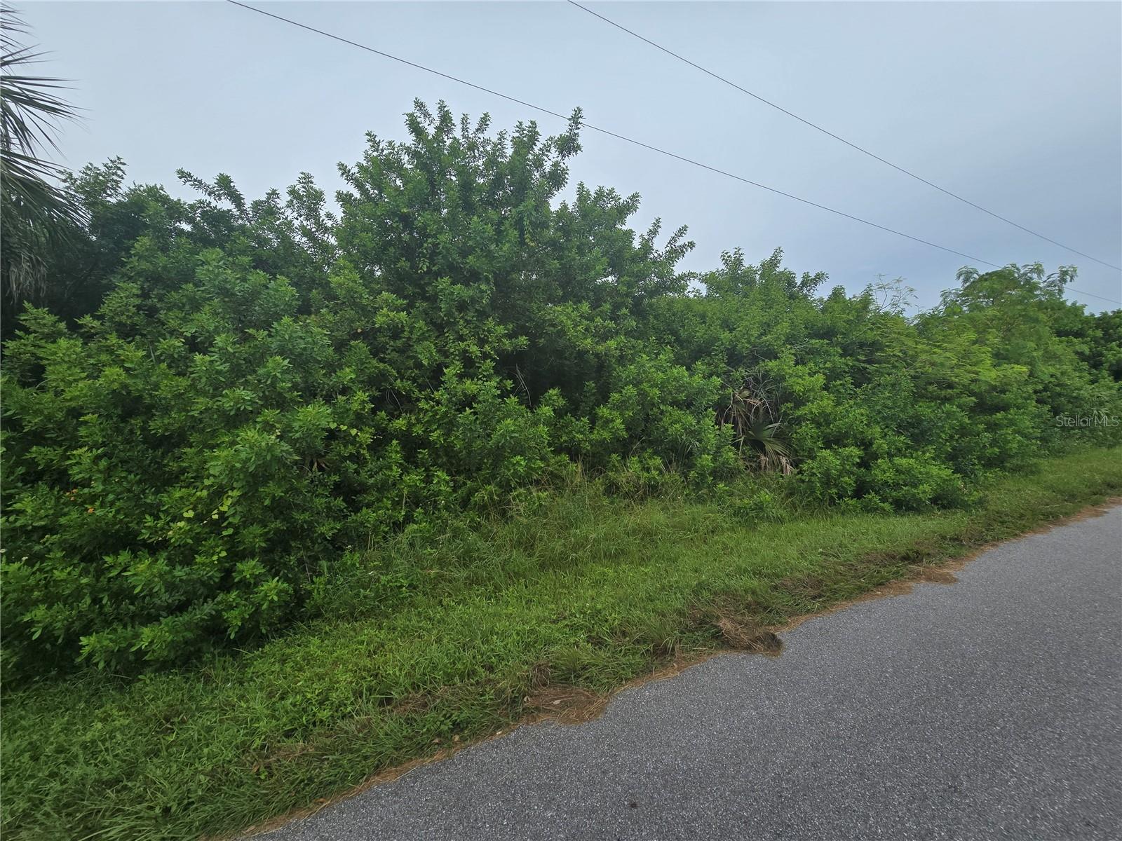 Image 11 of 18 For 4169 Joseph Street