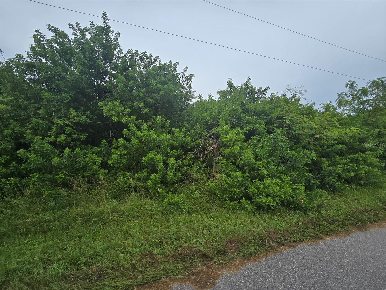 Image 13 of 18 For 4169 Joseph Street