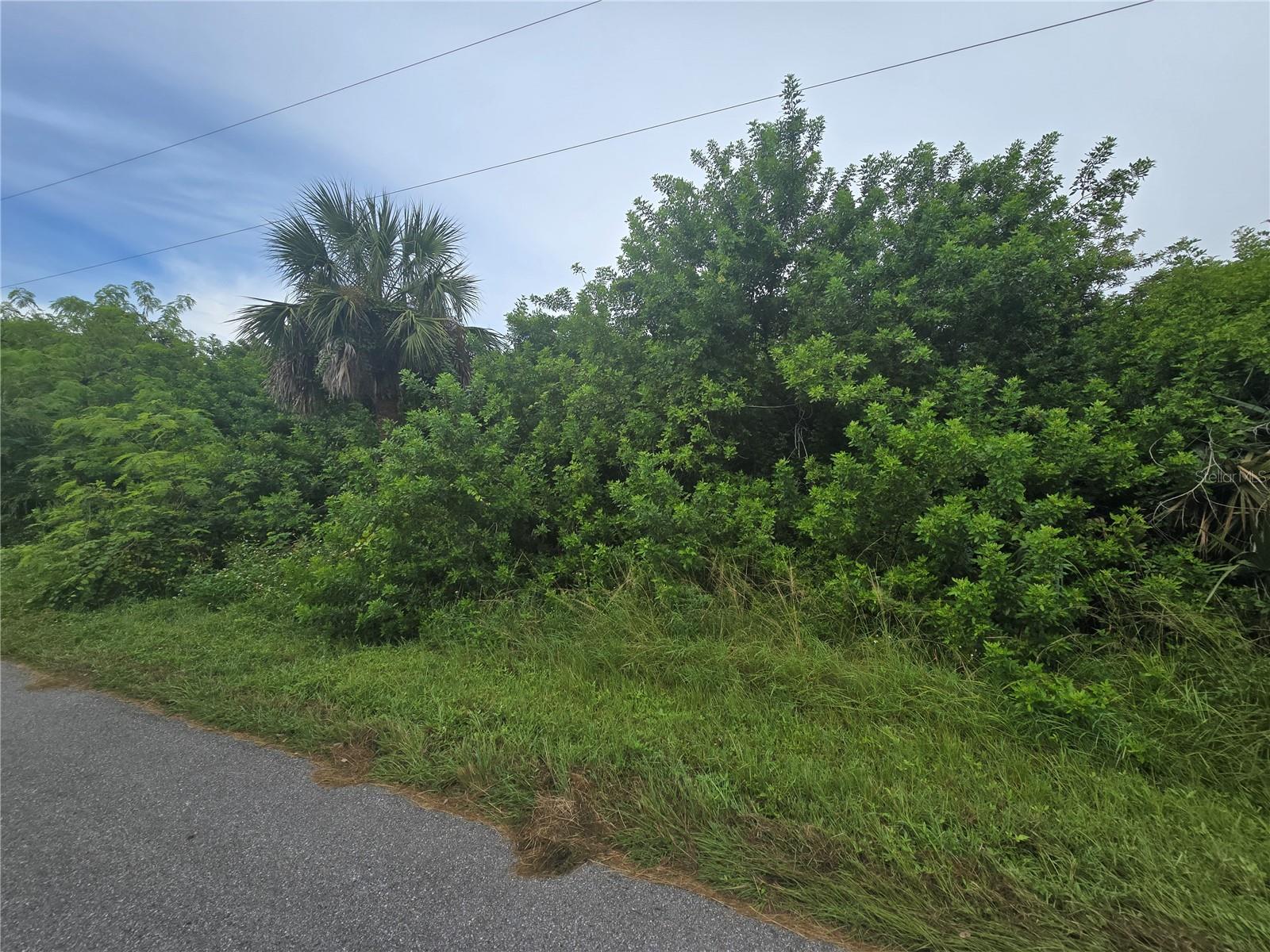 Image 15 of 18 For 4169 Joseph Street