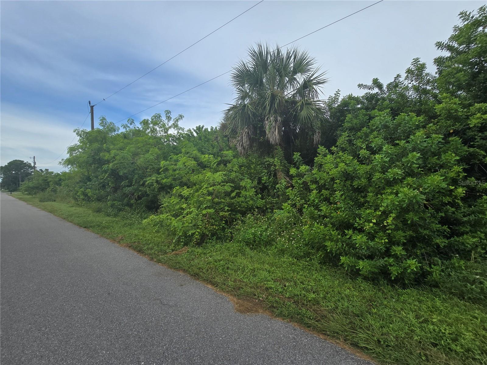 Image 16 of 18 For 4169 Joseph Street