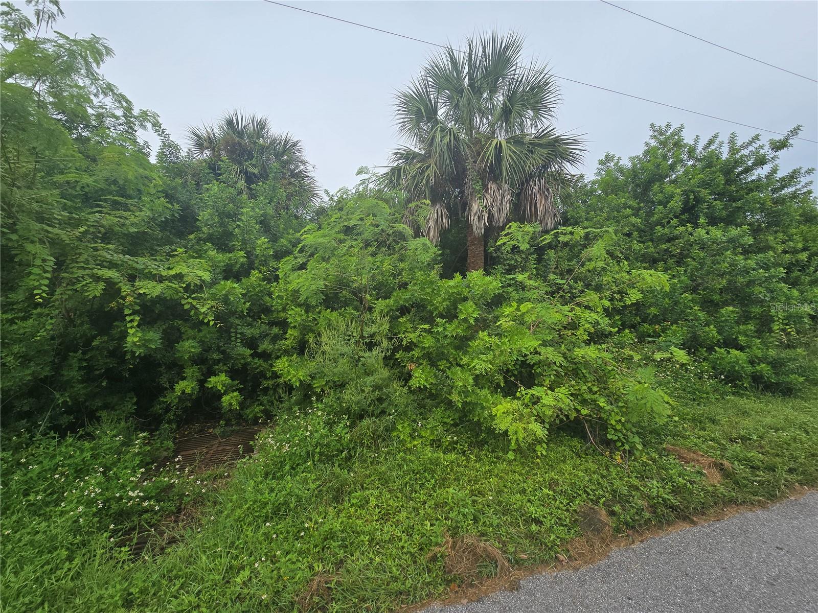 Image 5 of 18 For 4169 Joseph Street