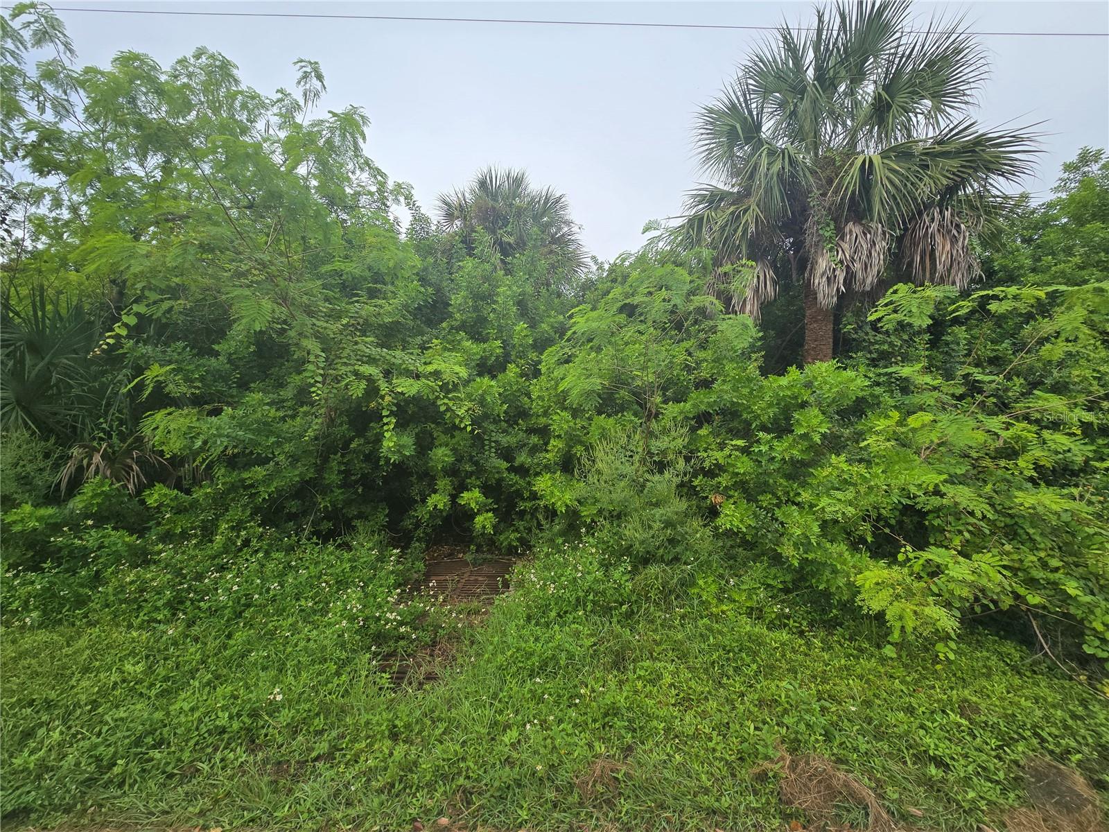 Image 6 of 18 For 4169 Joseph Street