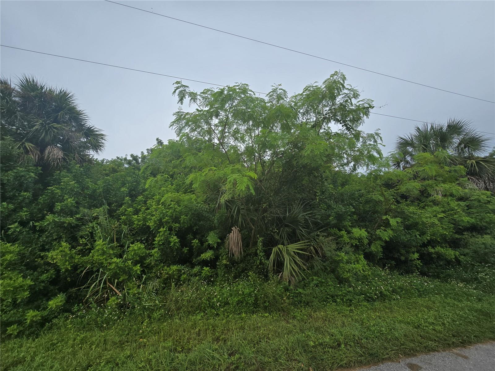 Image 8 of 18 For 4169 Joseph Street