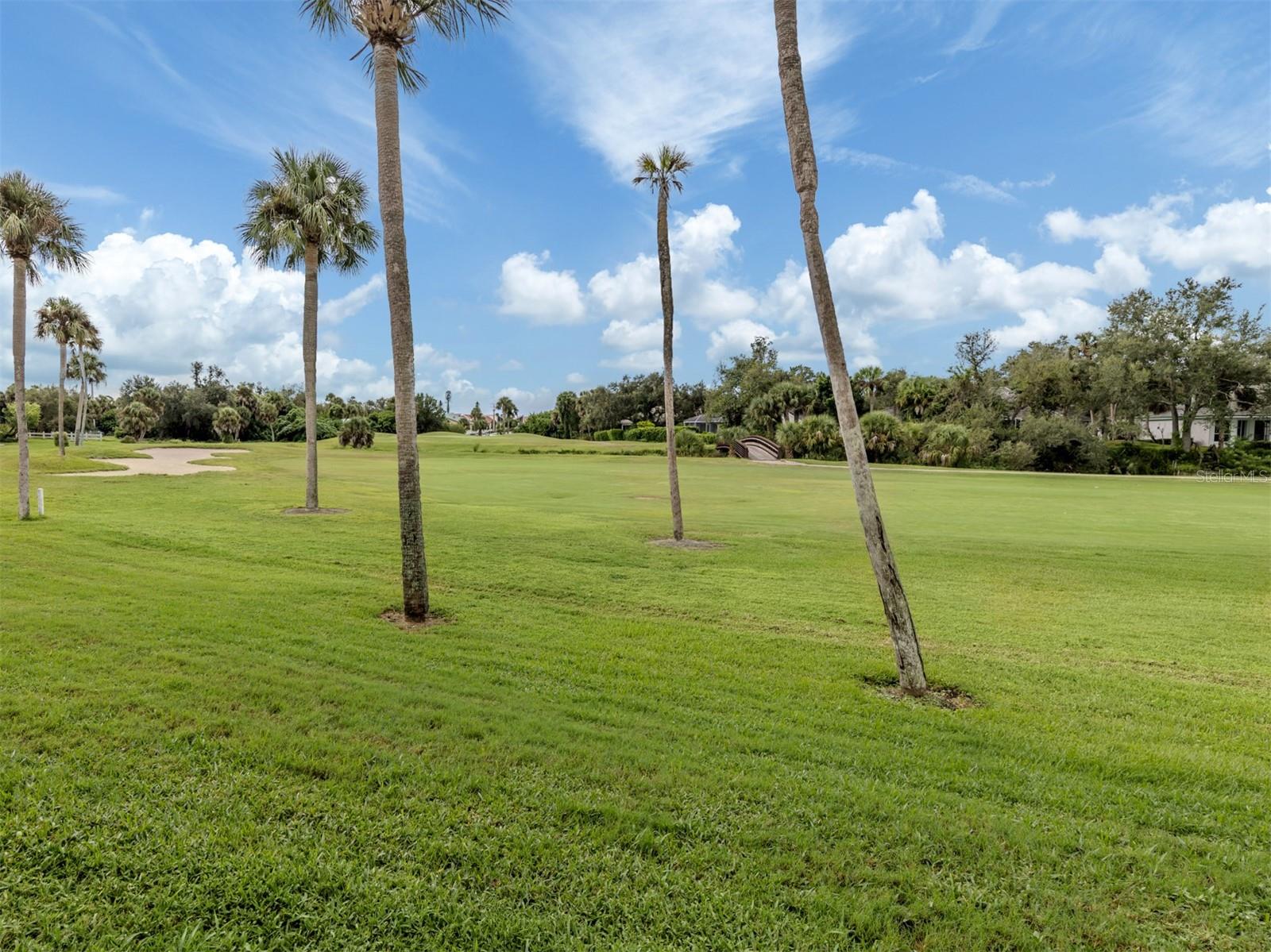 Image 6 of 57 For 929 Capri Isles Boulevard 27