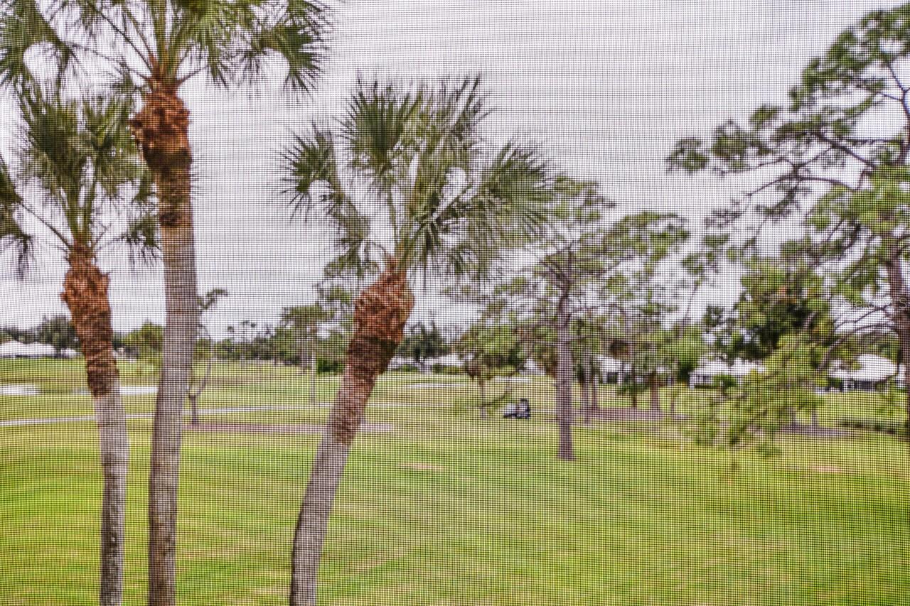 Image 26 of 44 For 433 Cerromar Lane 438