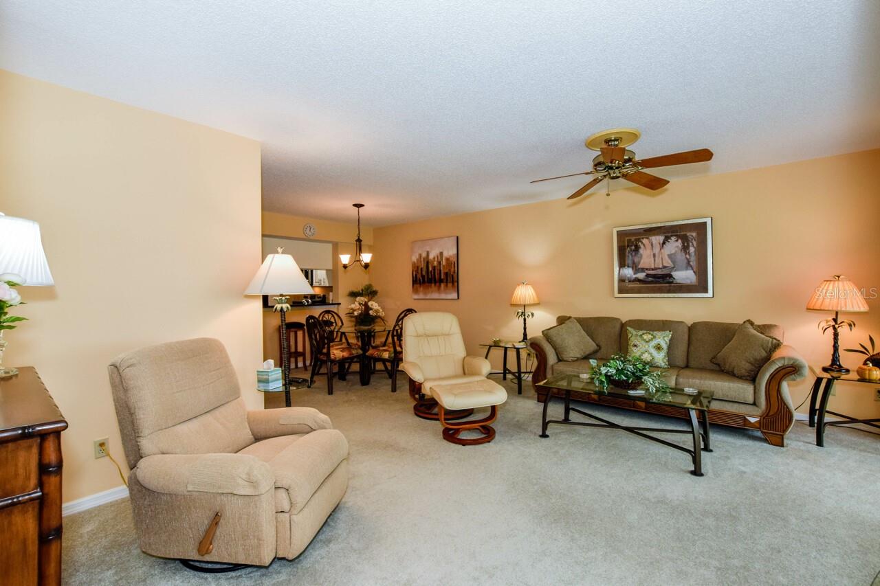 Image 8 of 44 For 433 Cerromar Lane 438
