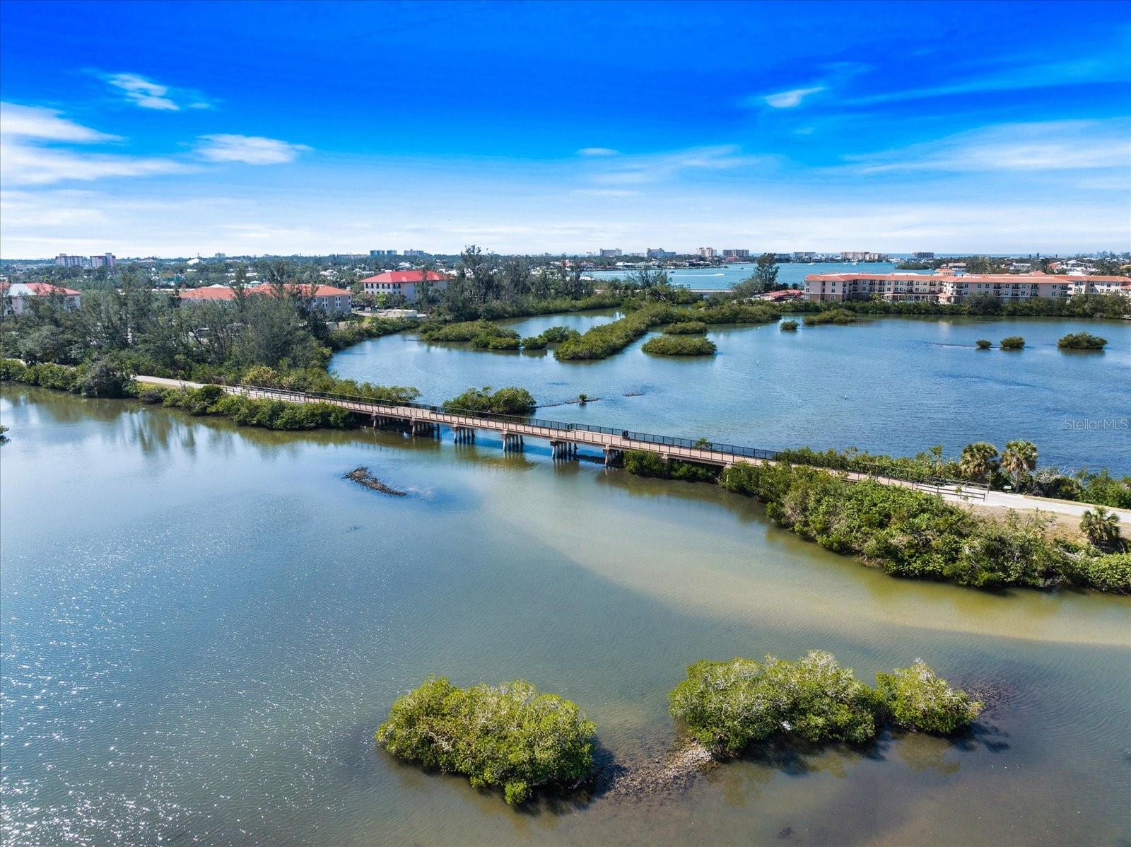 Image 37 of 50 For 966 Bird Bay Way 246