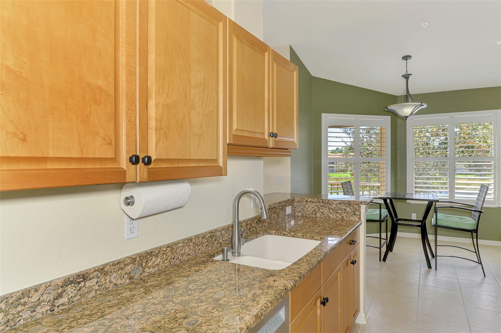 Image 18 of 82 For 4244 Vicenza Drive C34