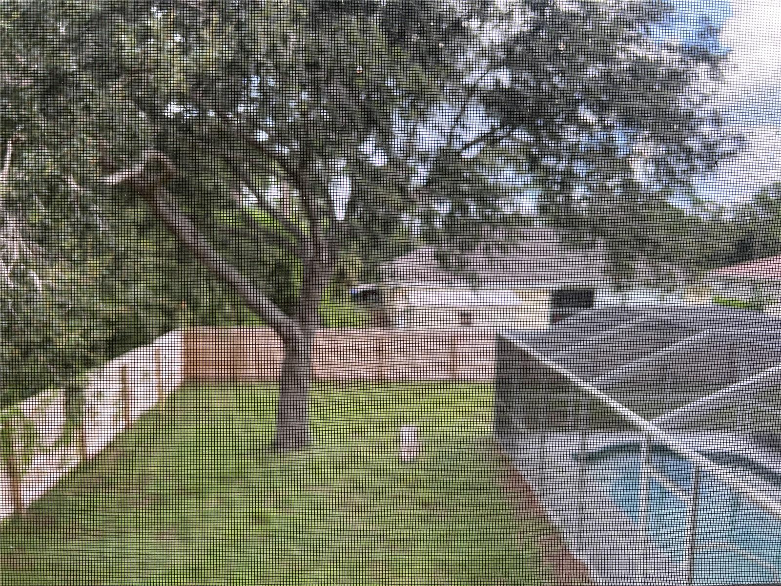 Listing photo id 2 for 3774 Lorton Avenue