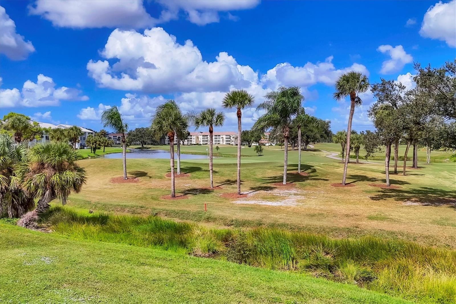 Image 36 of 61 For 408 Cerromar Circle S 331