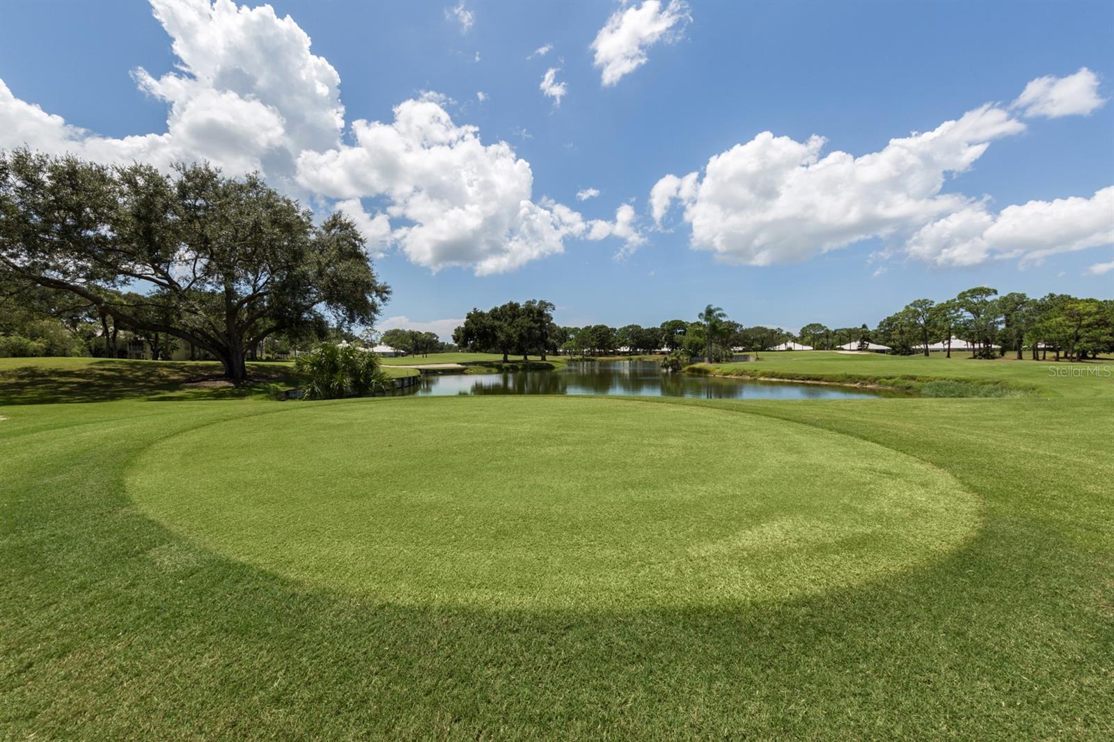 Image 59 of 90 For 523 Clubside Circle 52