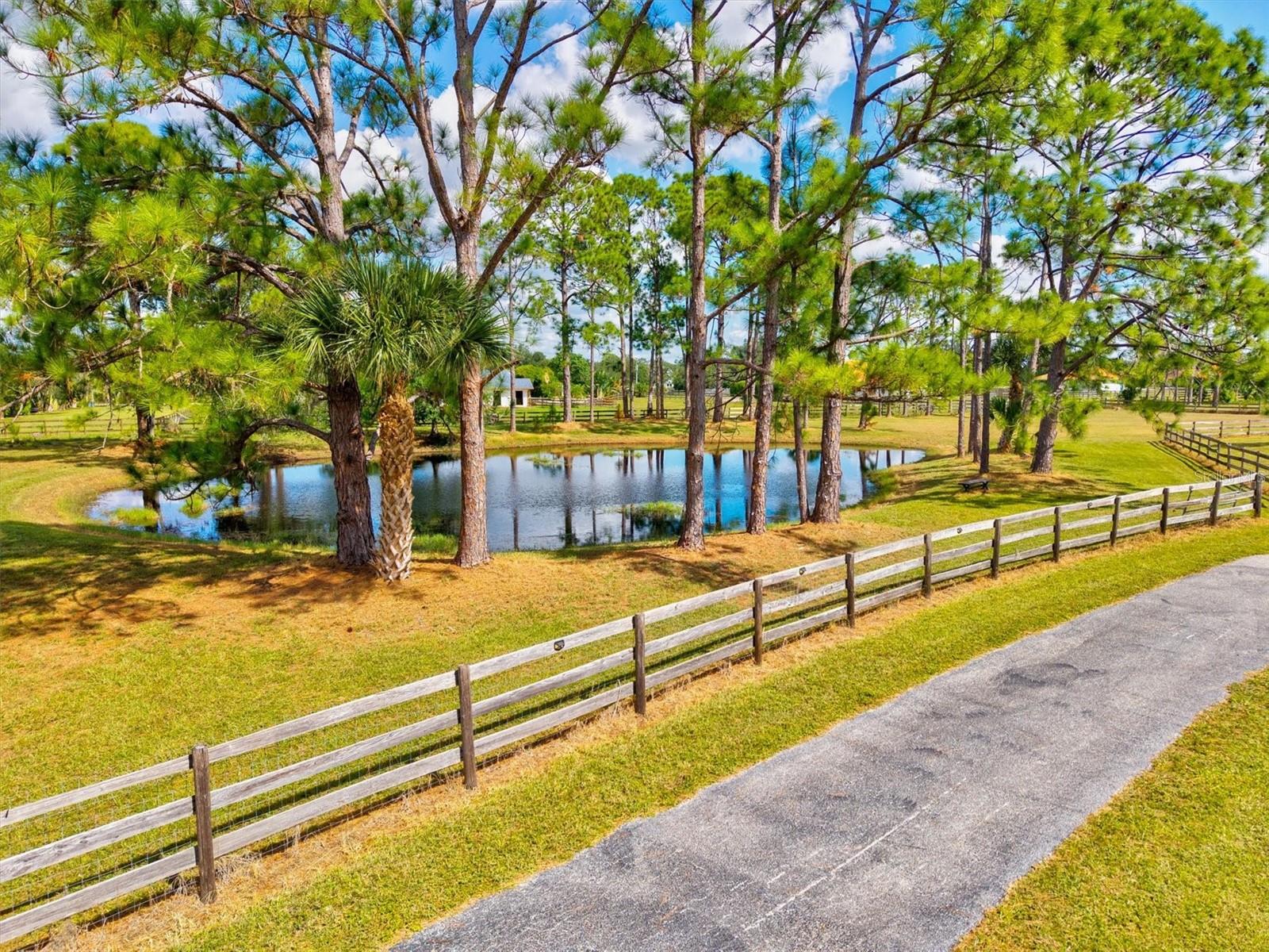 Image 76 of 96 For 7131 Saddle Creek Circle