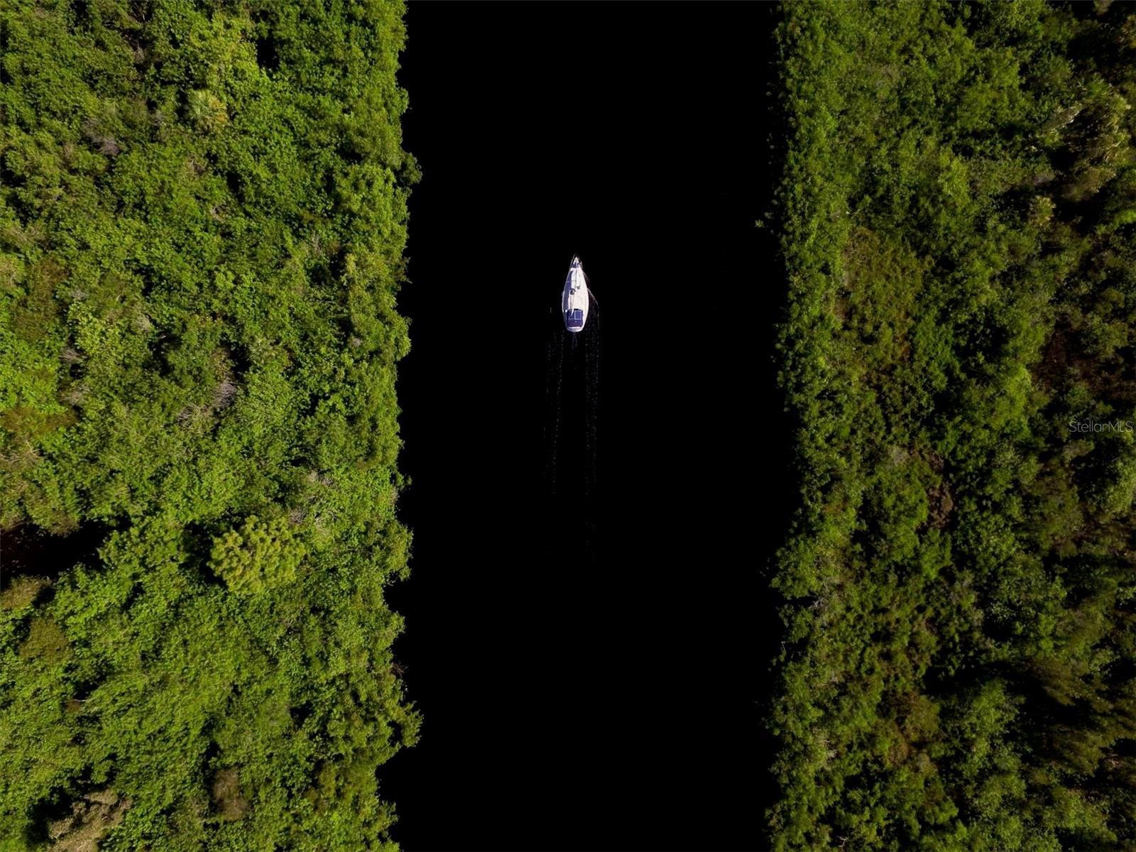 Image 41 of 55 For 14065 Paris Lane