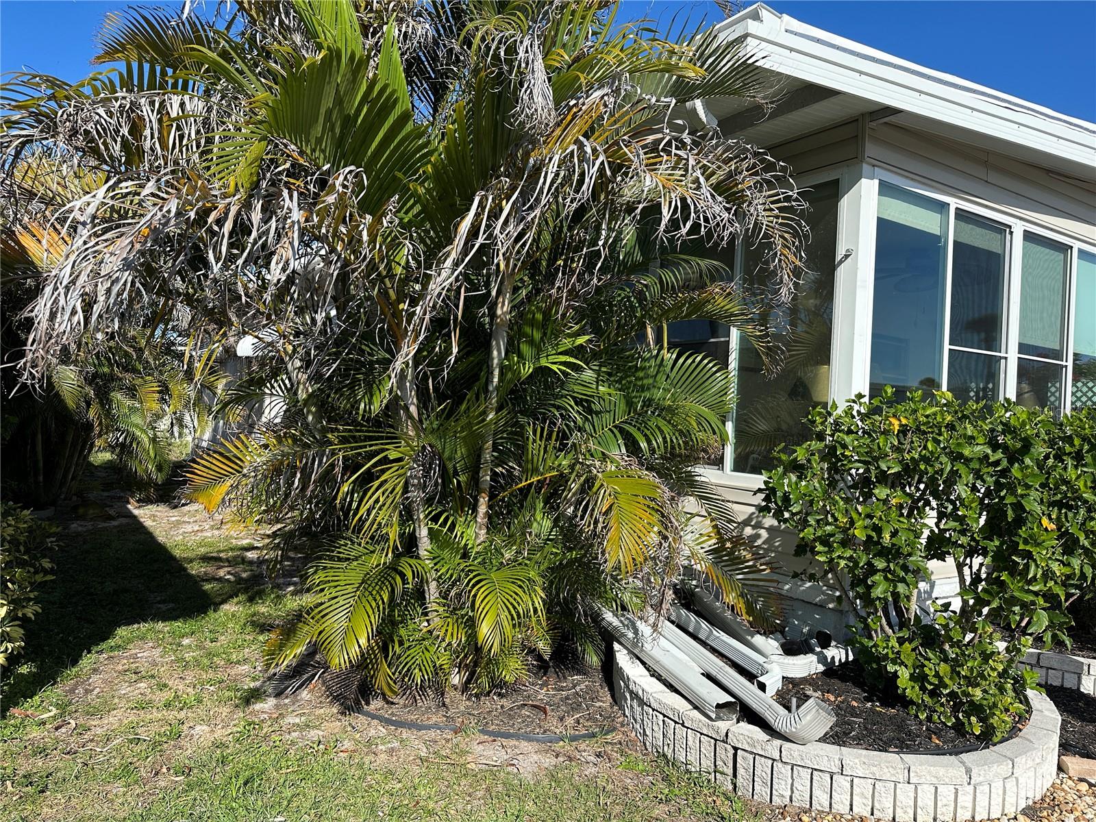 Image 18 of 27 For 5800 Forsythia Road
