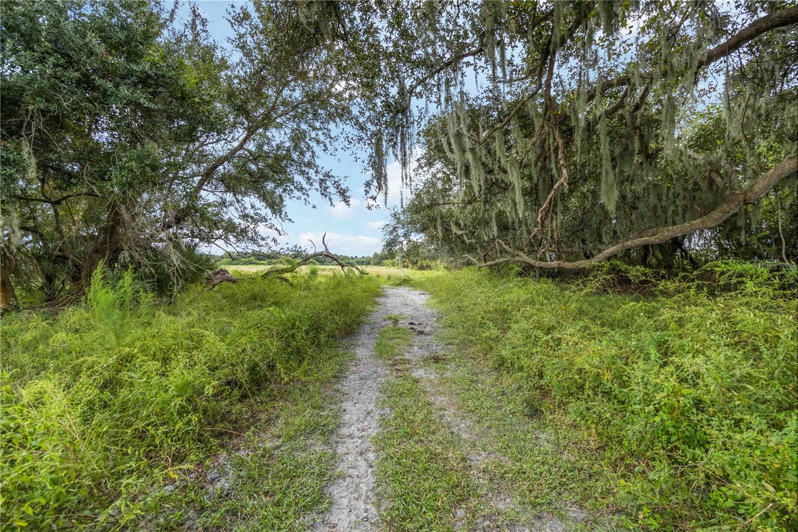 Image 9 of 30 For Gordon Hay Road
