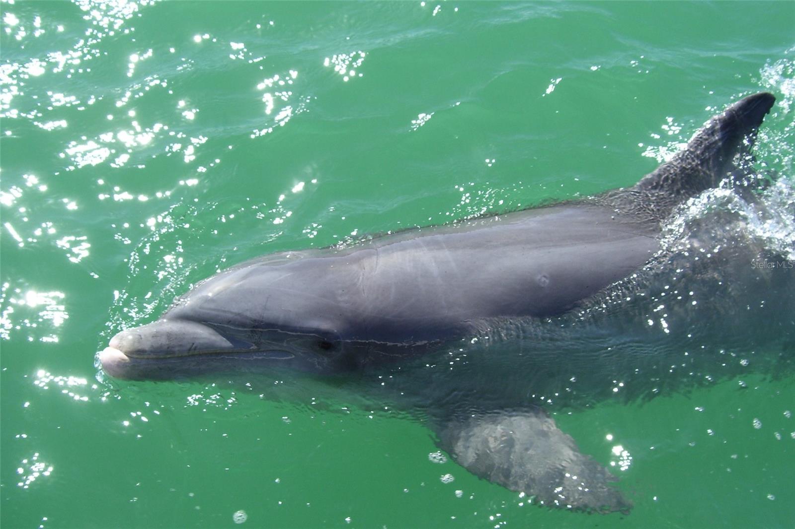 Image 86 of 100 For 829 Harbor Drive S