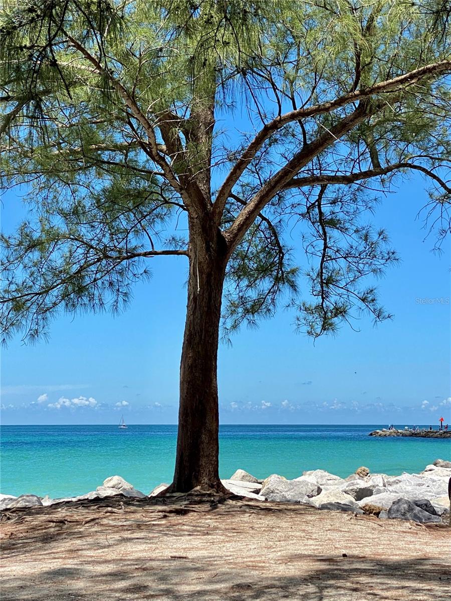 Image 97 of 100 For 829 Harbor Drive S