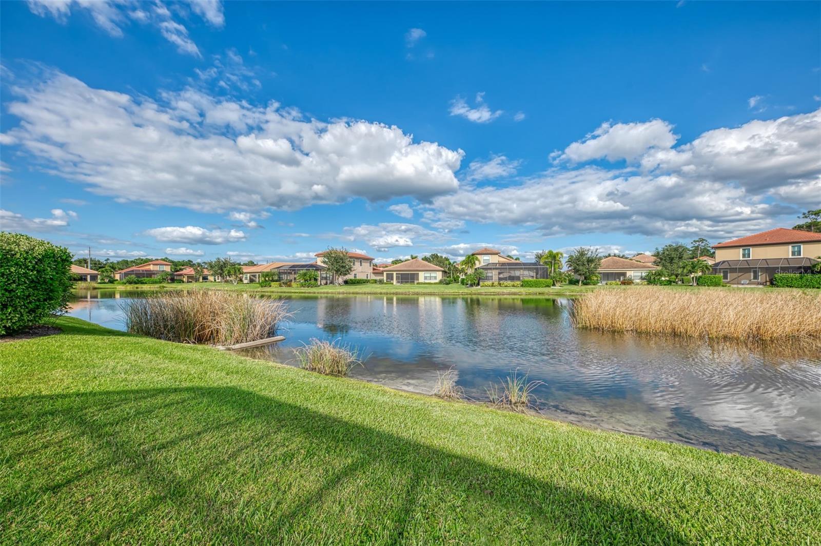 Image 49 of 69 For 1050 Bluffwood Drive