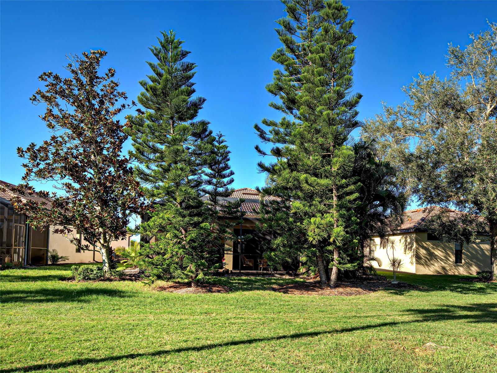 Image 46 of 65 For 20612 Capello Drive