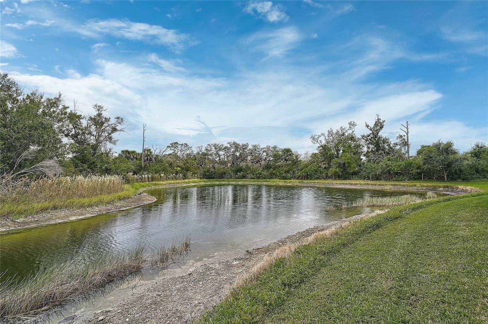 Image 54 of 72 For 13460 Campanile Court