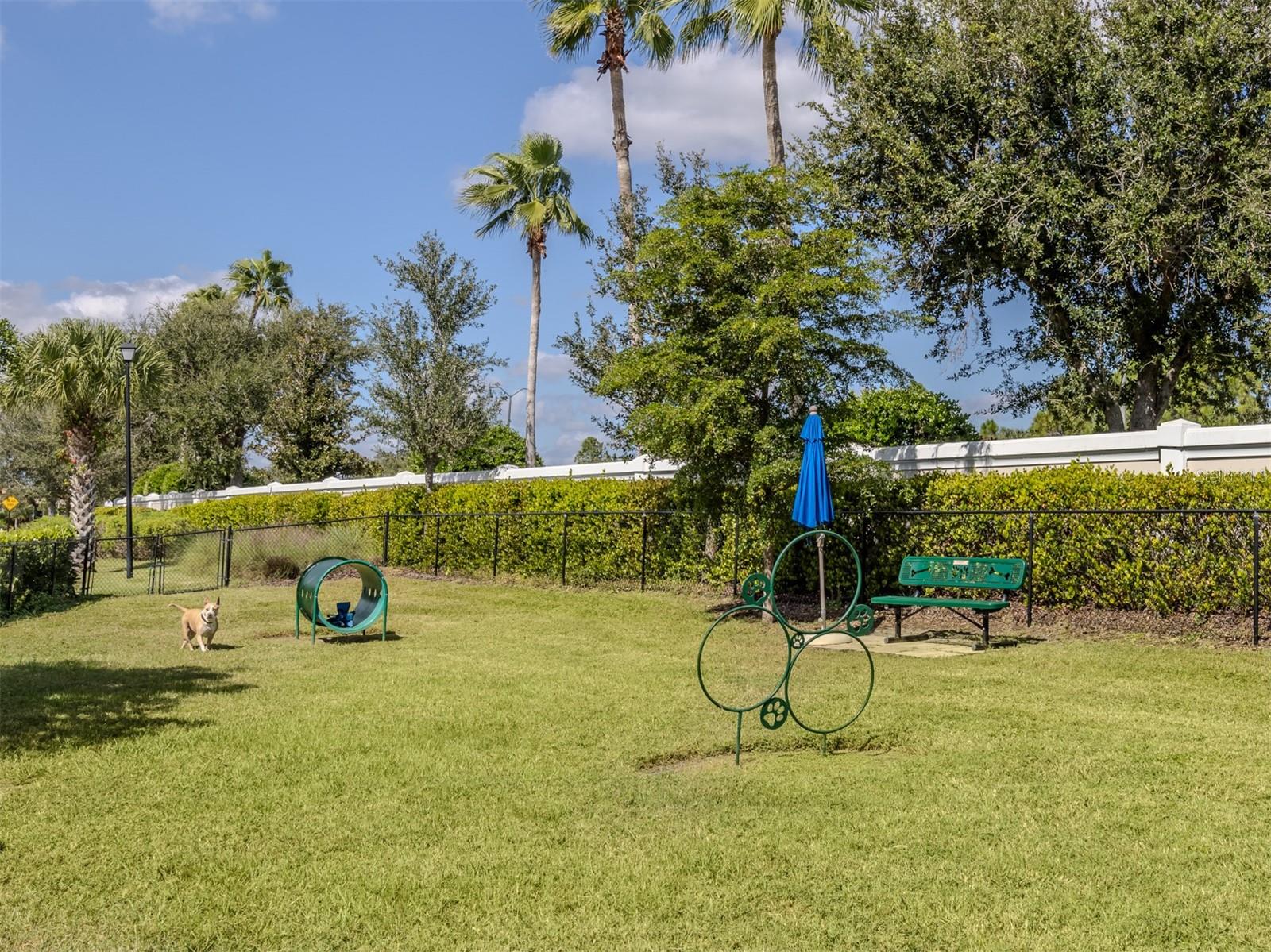 Image 45 of 95 For 2524 Daisy Drive
