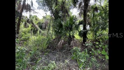 Listing Details for Alpen Avenue, NORTH PORT, FL 34291