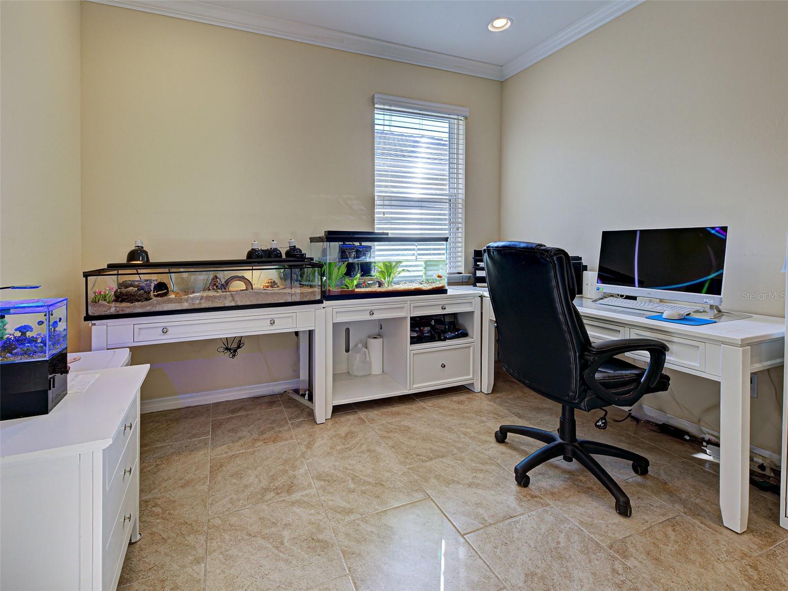 Image 40 of 77 For 11570 Blackfin Street