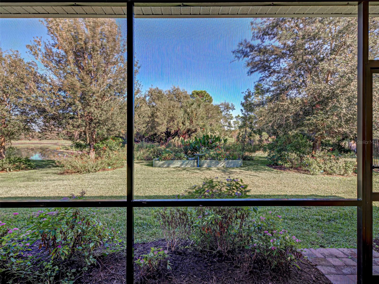 Image 47 of 77 For 11570 Blackfin Street