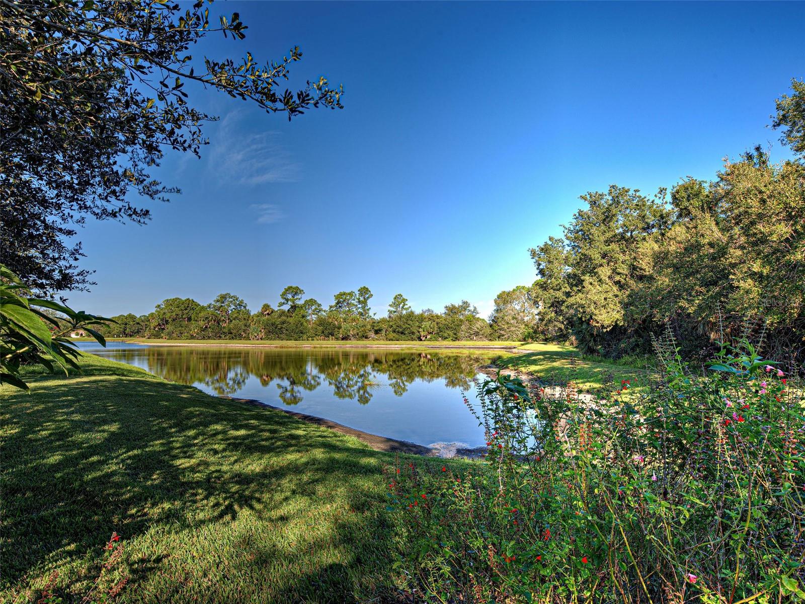 Image 52 of 77 For 11570 Blackfin Street