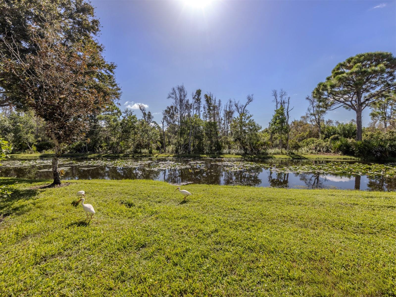 Image 30 of 67 For 4430 Corso Venetia Boulevard A11