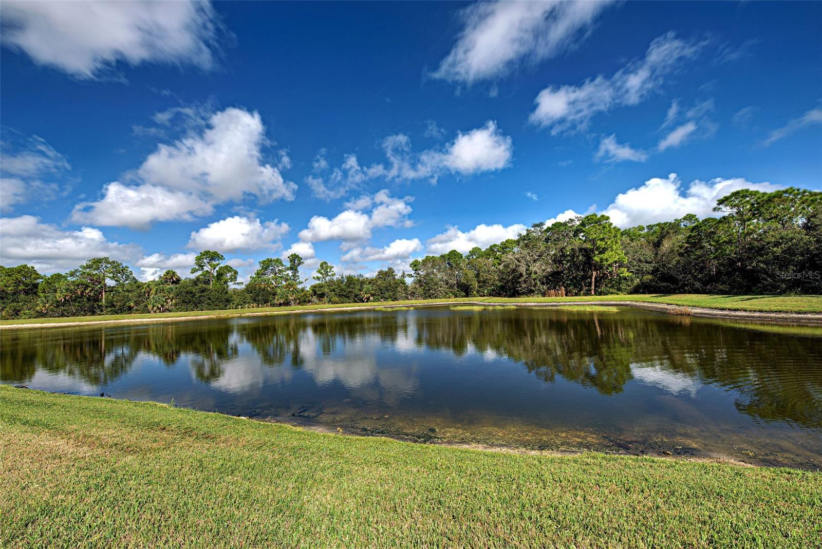 Image 46 of 72 For 11558 Blackfin Street