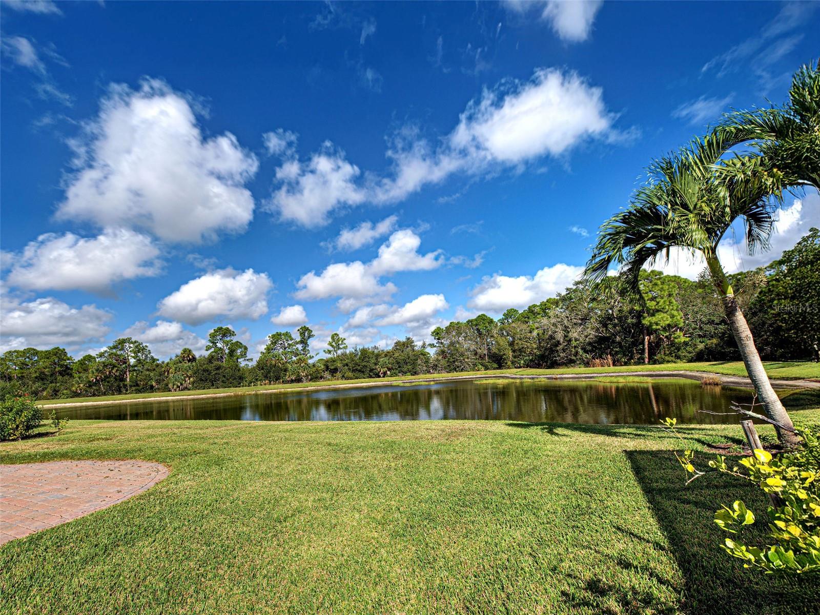 Image 47 of 72 For 11558 Blackfin Street