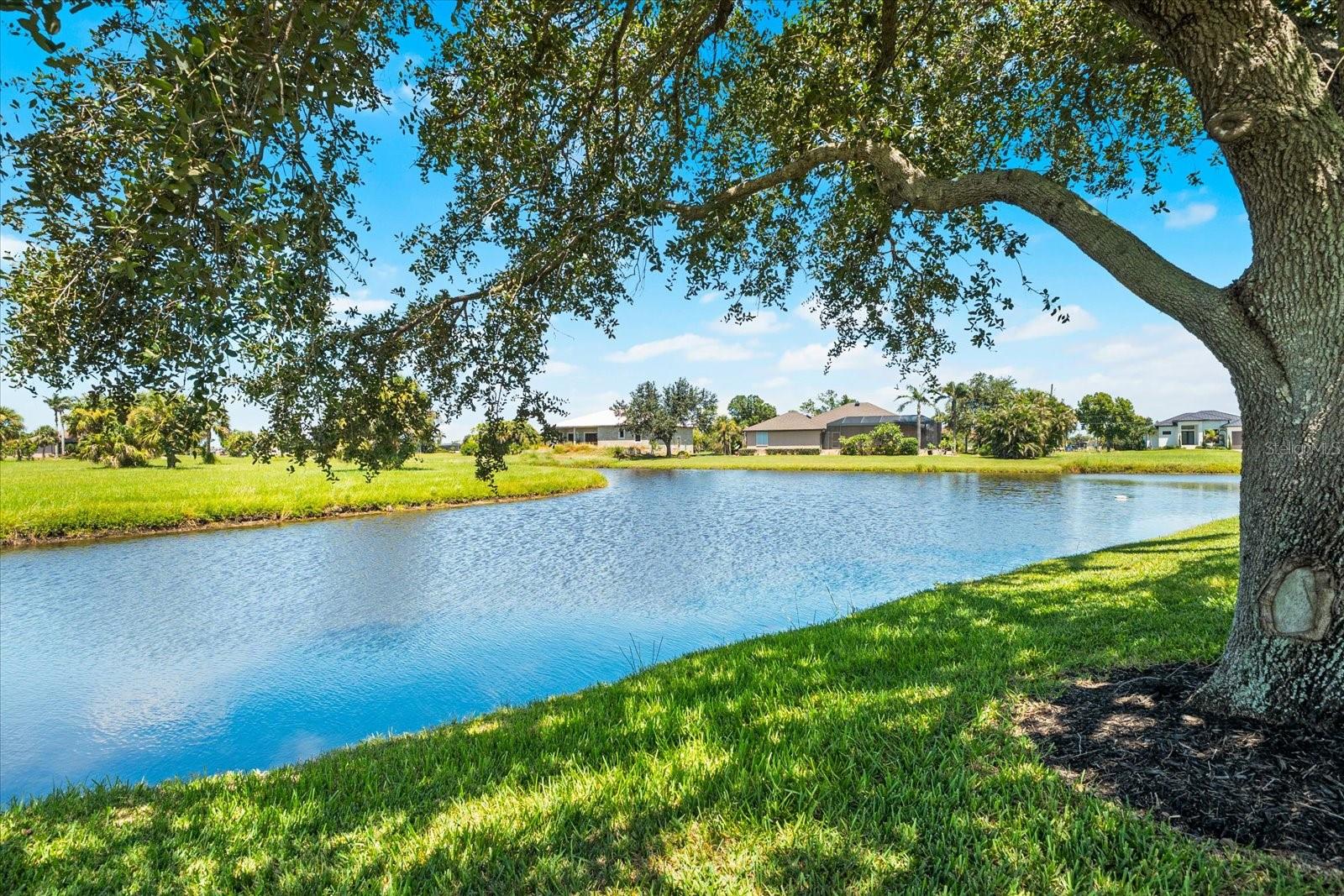 Image 49 of 74 For 17253 Spearmint Lane