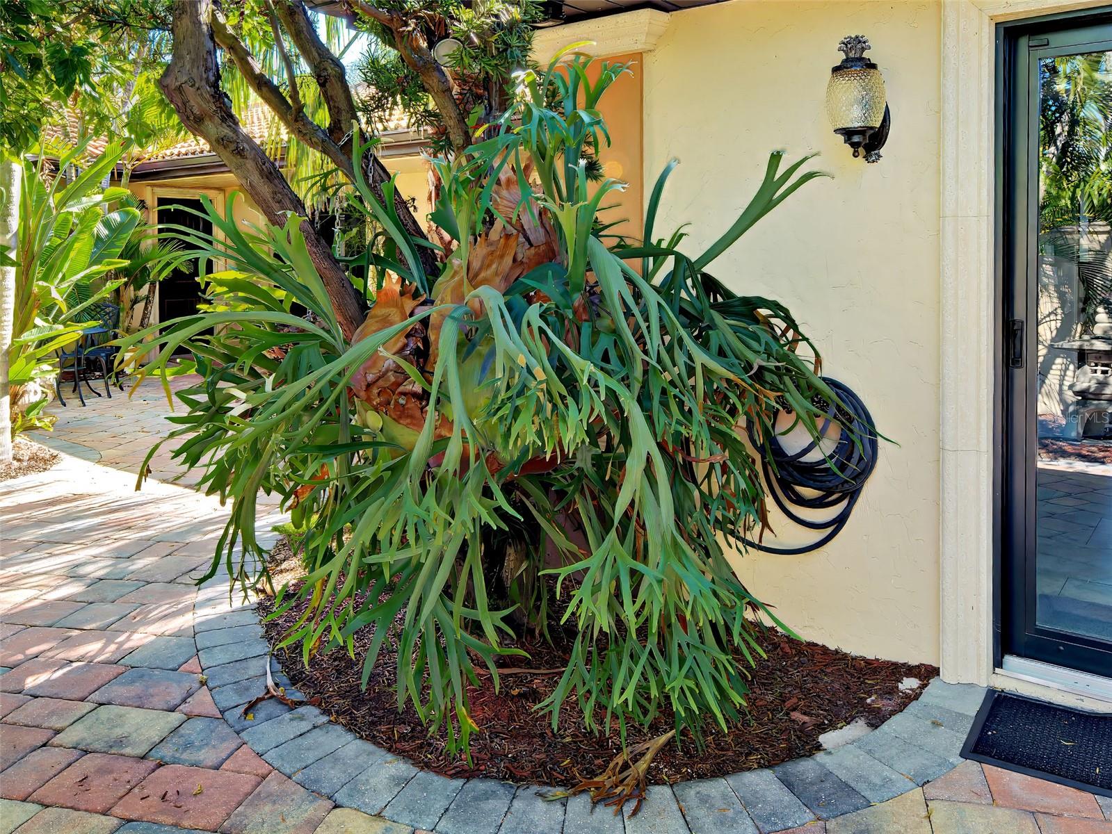 Image 45 of 91 For 107 Free Court Se