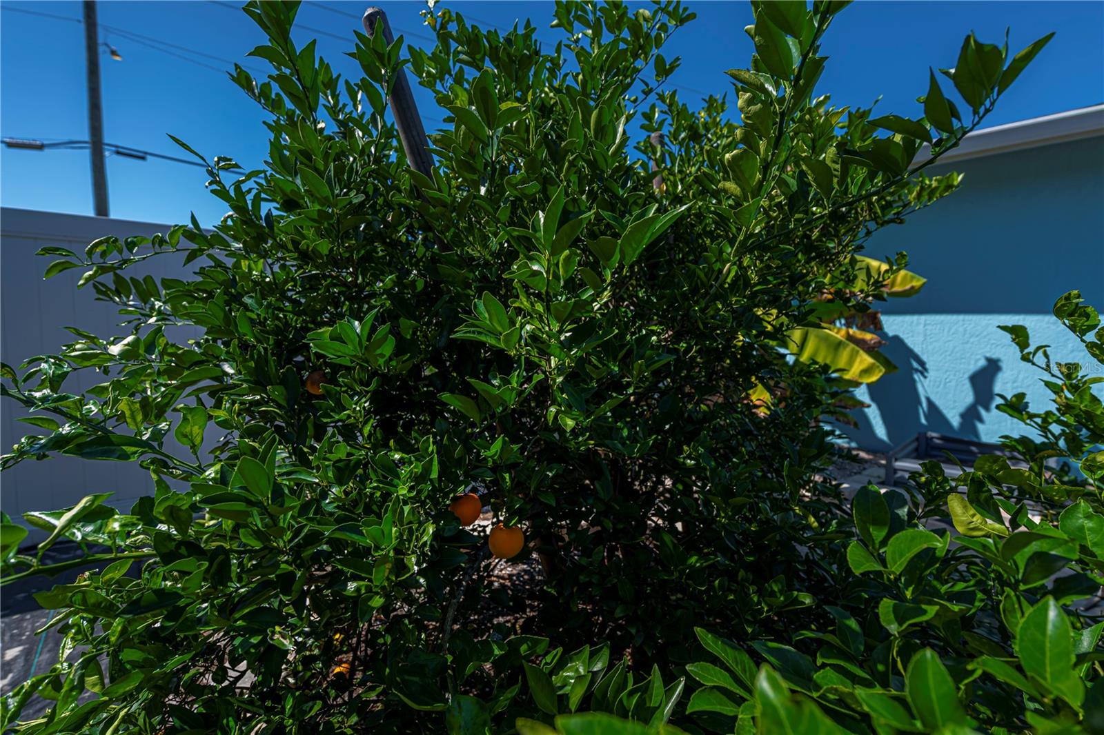 Image 52 of 72 For 730 Treasure Road