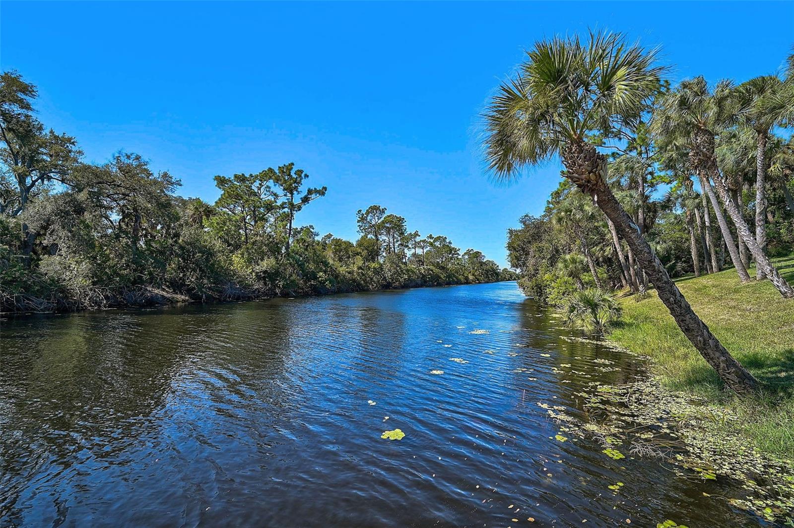 Image 41 of 59 For 2647 Carmela Avenue