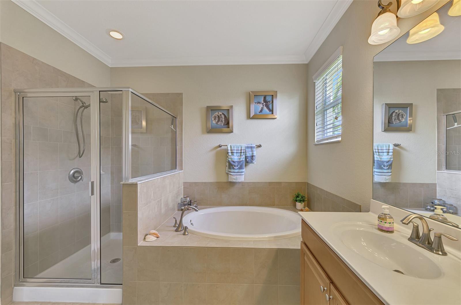 Image 41 of 98 For 1979 Mesic Hammock Way