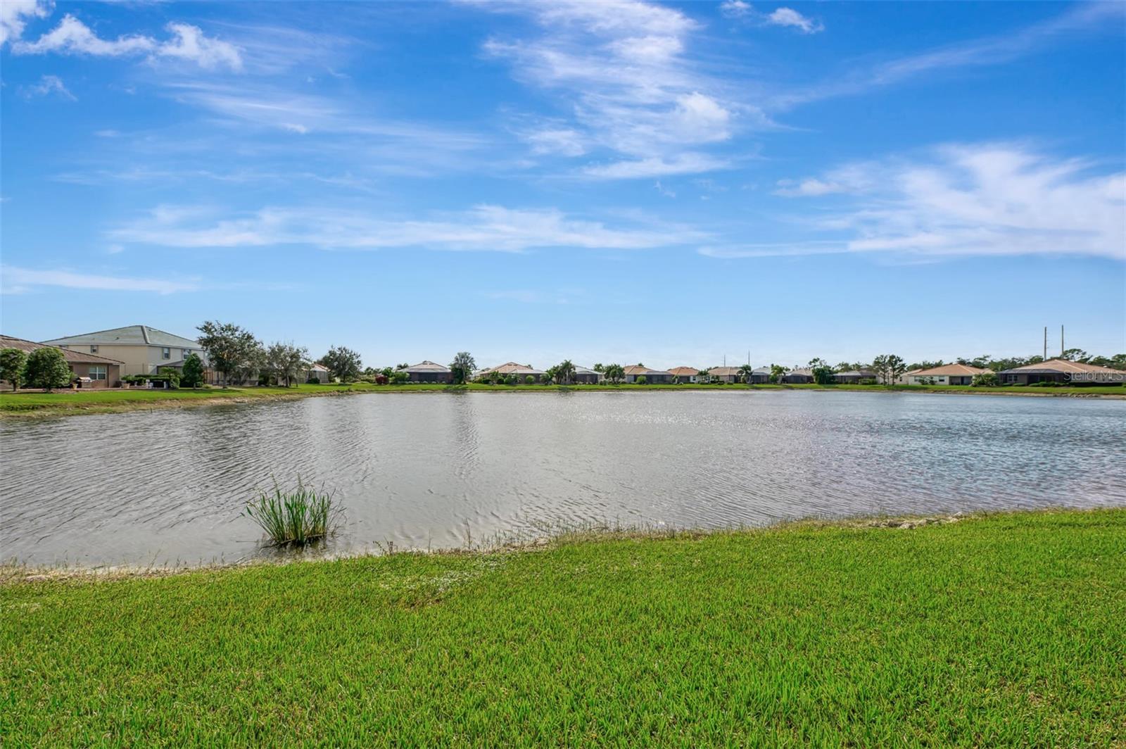 Image 59 of 98 For 1979 Mesic Hammock Way