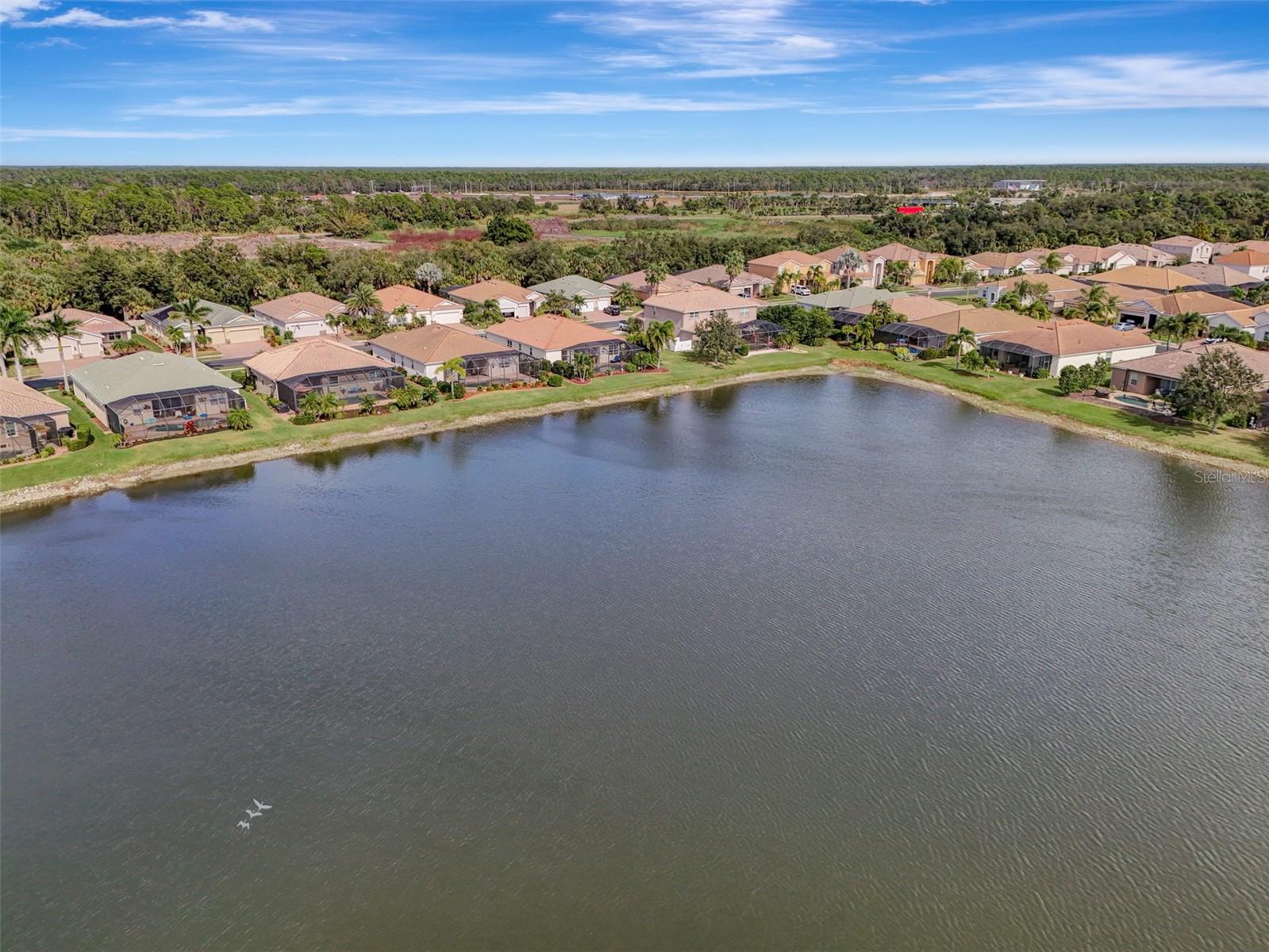 Image 63 of 98 For 1979 Mesic Hammock Way