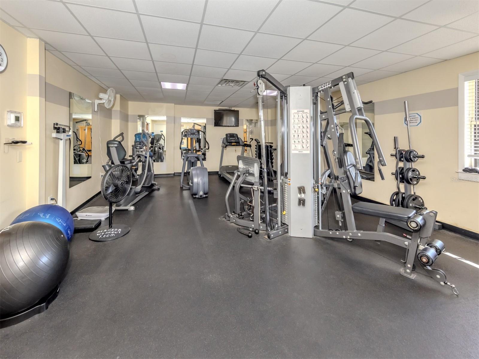 Image 55 of 68 For 5 Esplanade Street