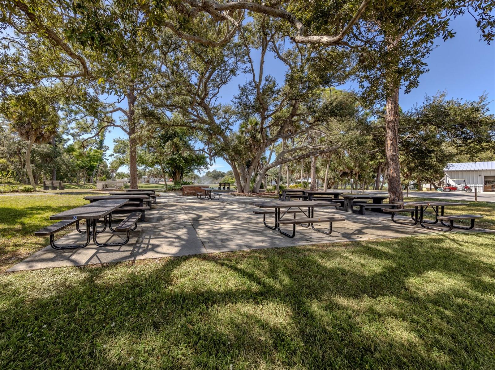 Image 66 of 68 For 5 Esplanade Street