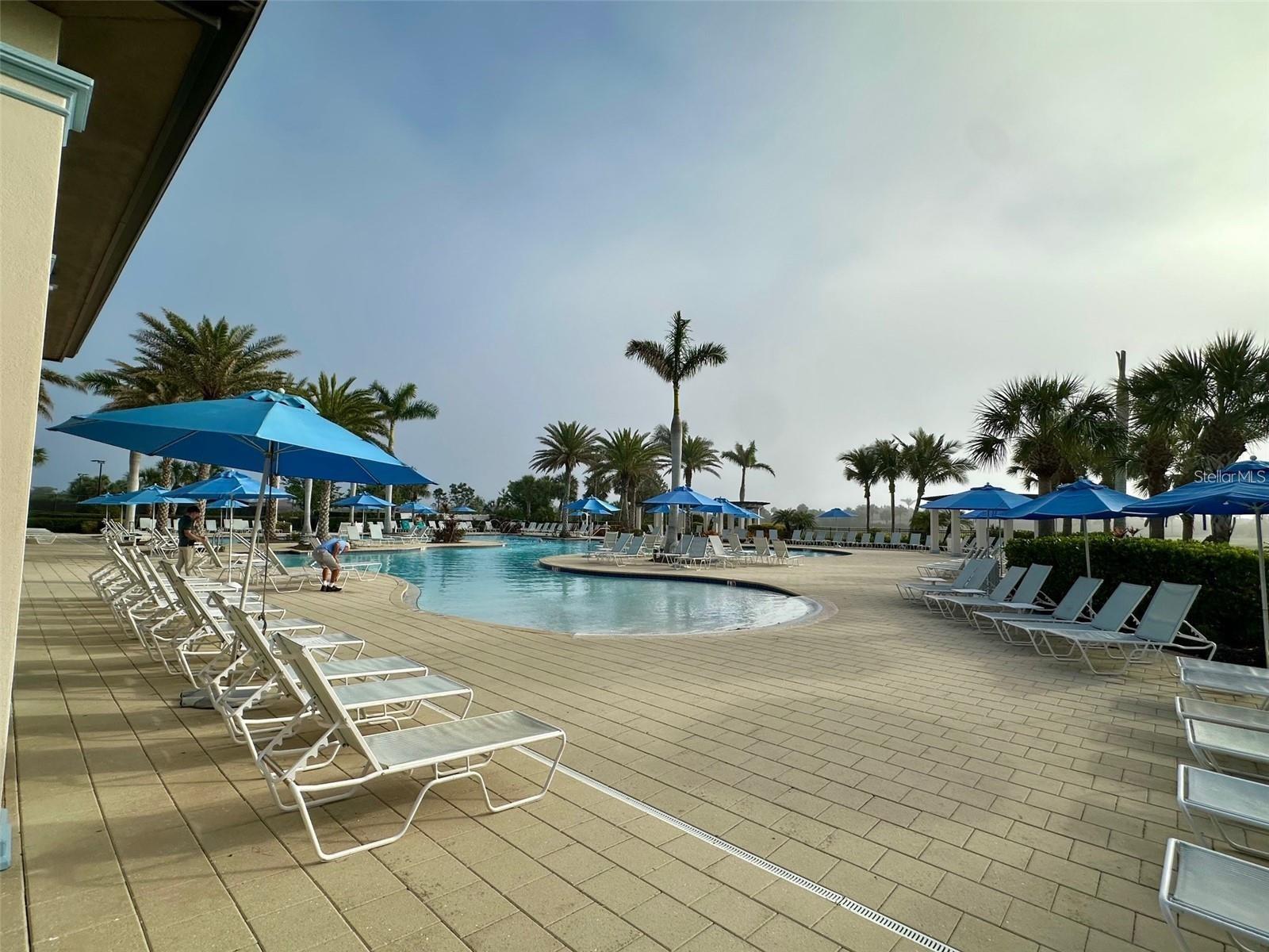 Image 23 of 27 For 10808 Tarflower Drive 101