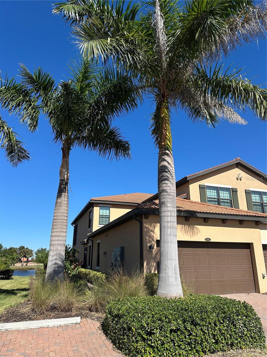 Image 4 of 5 For 10808 Tarflower Drive 101