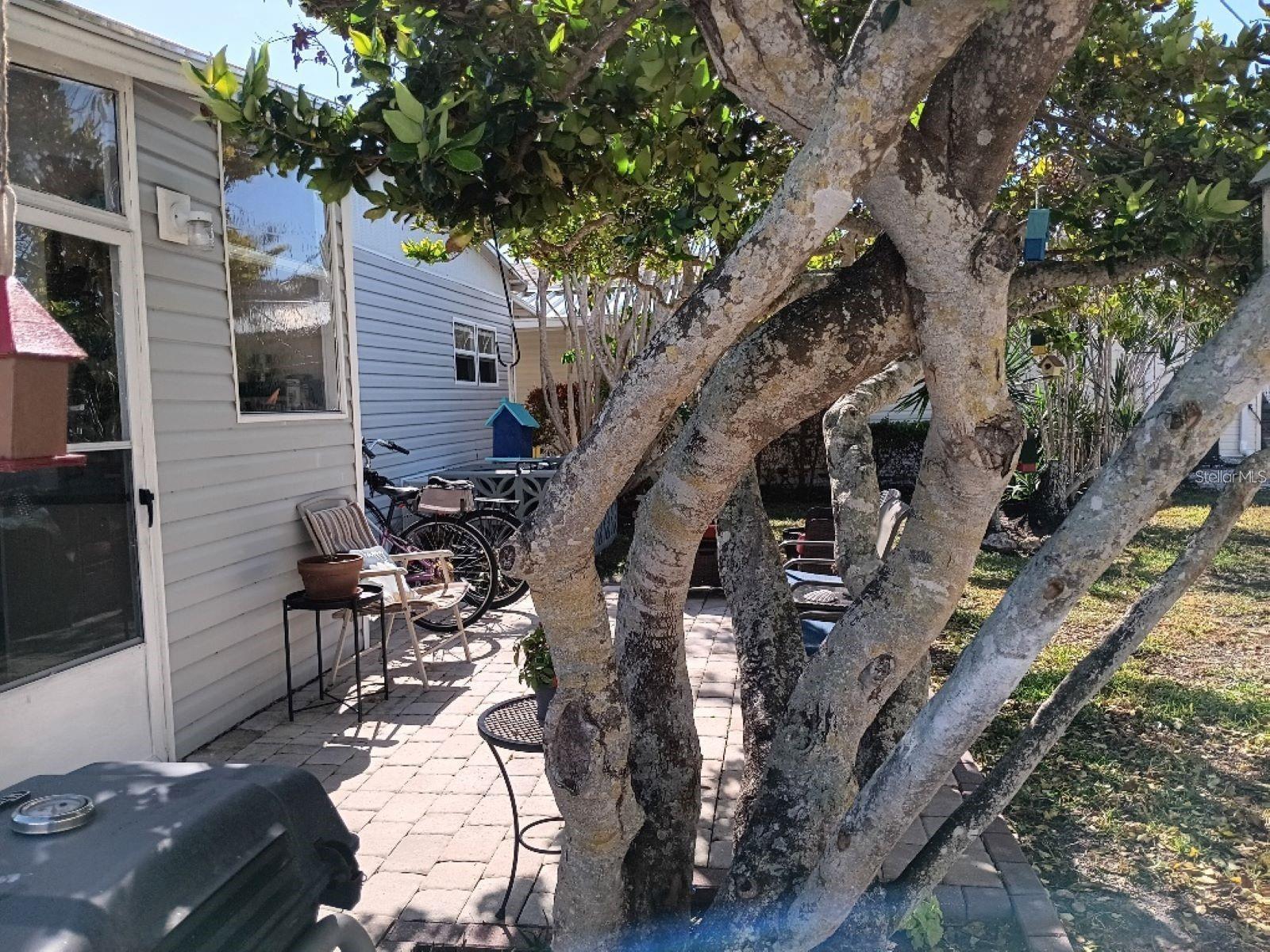 Image 36 of 46 For 858 Green Circle