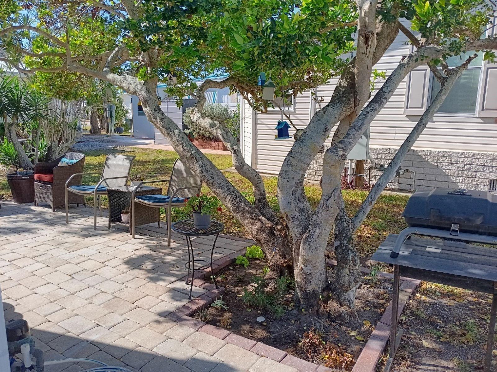 Image 37 of 46 For 858 Green Circle