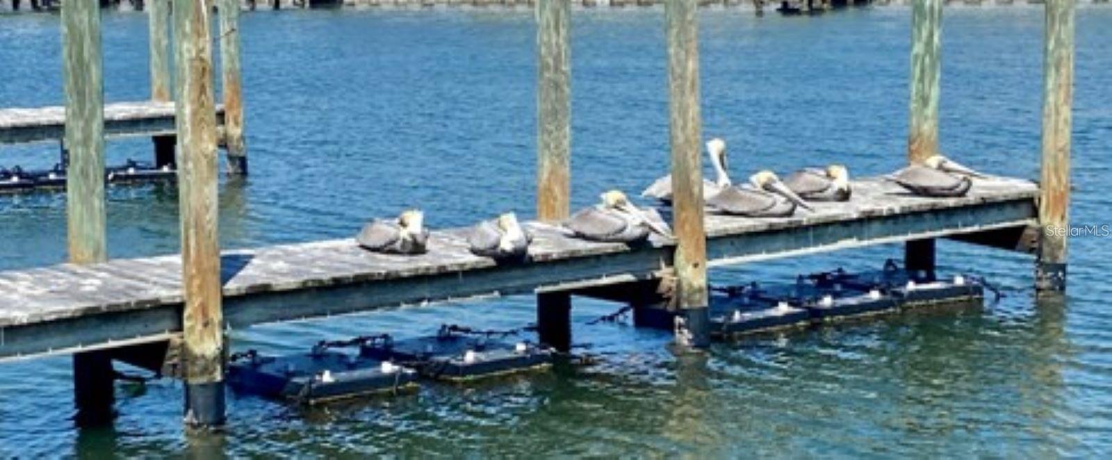 Image 43 of 46 For 858 Green Circle