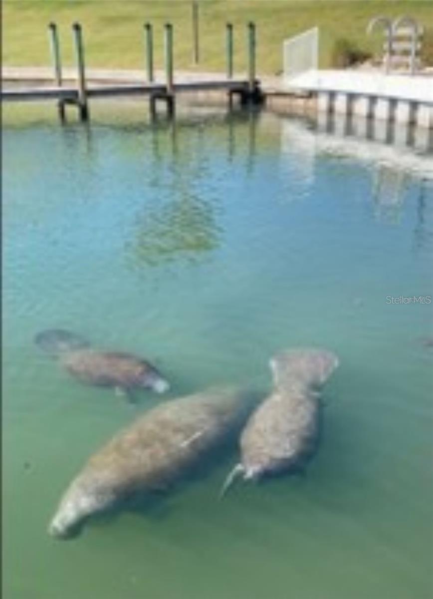 Image 45 of 46 For 858 Green Circle