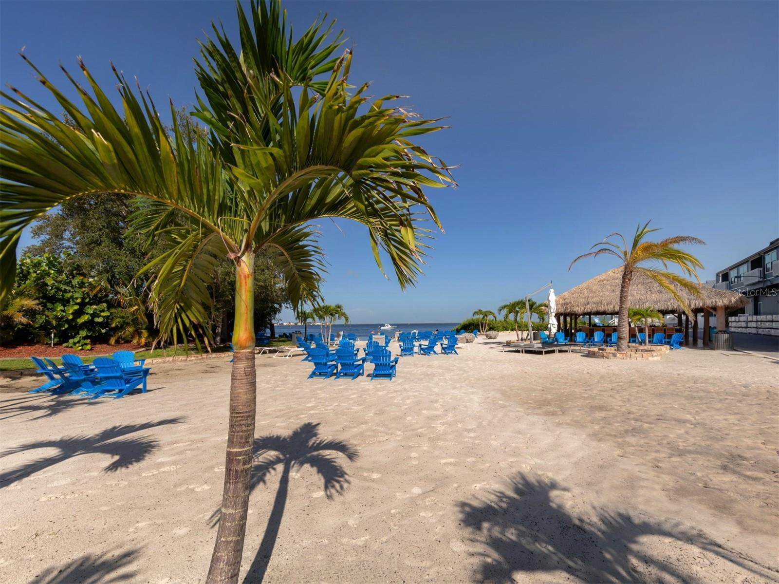 Image 56 of 59 For 1750 Jamaica Way 322