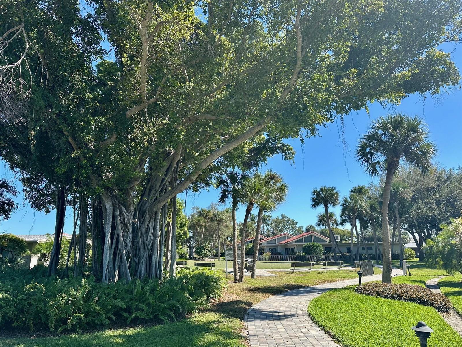 Image 15 of 18 For 500 Park Boulevard S 46