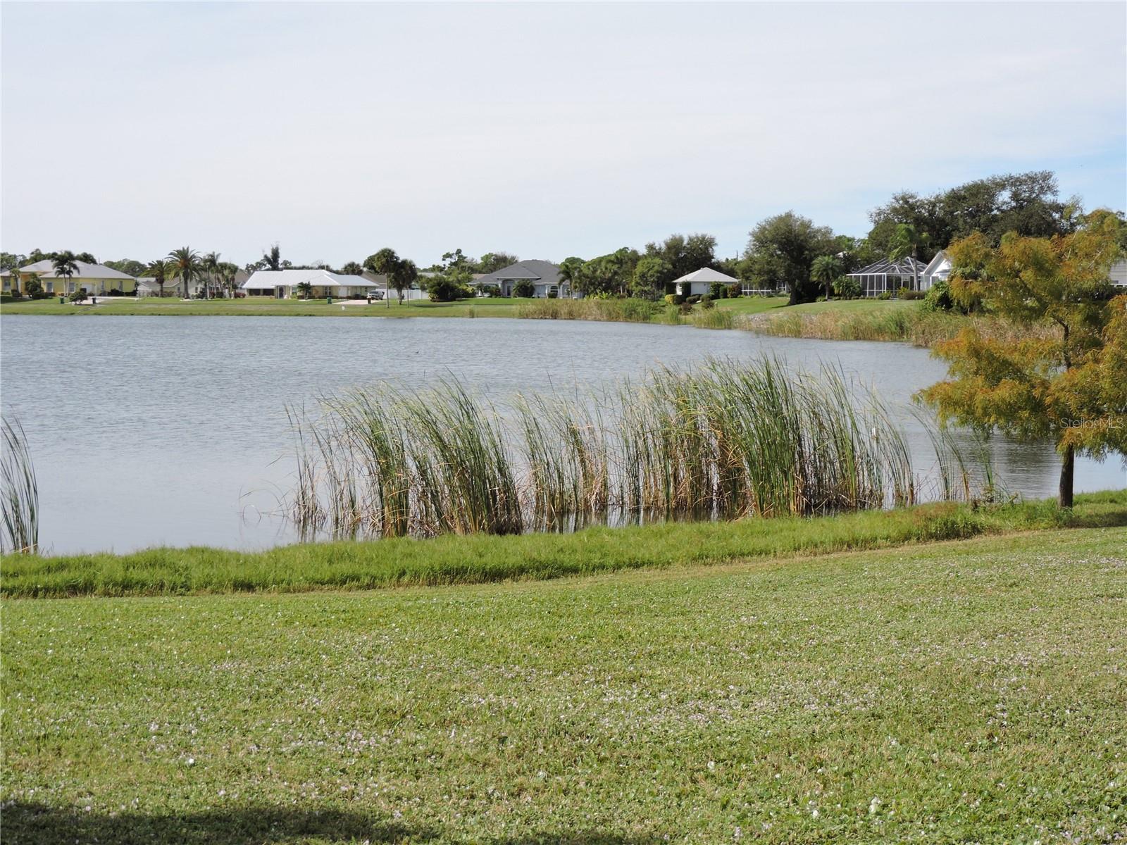 Image 52 of 65 For 8170 Casa De Meadows Drive